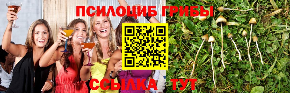 Галлюциногенные грибы прущие грибы Орехово-Зуево