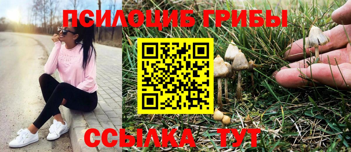Псилоцибиновые грибы мицелий  Галлюциногенные грибы MAGIC MUSHROOMS  Вход с VPN  Орехово-Зуево 